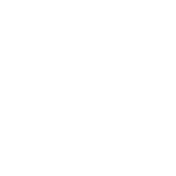 Guowei EVA logo